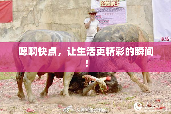 嗯啊快点，让生活更精彩的瞬间！