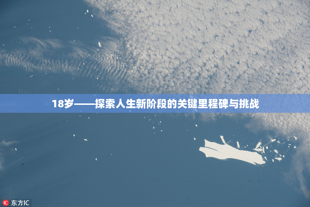 18岁——探索人生新阶段的关键里程碑与挑战
