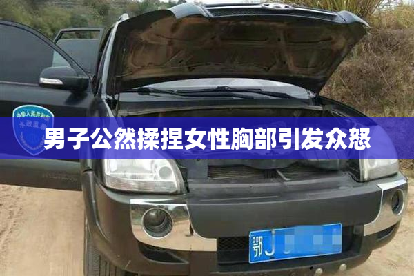 男子公然揉捏女性胸部引发众怒