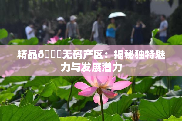 精品🌃无码产区：揭秘独特魅力与发展潜力