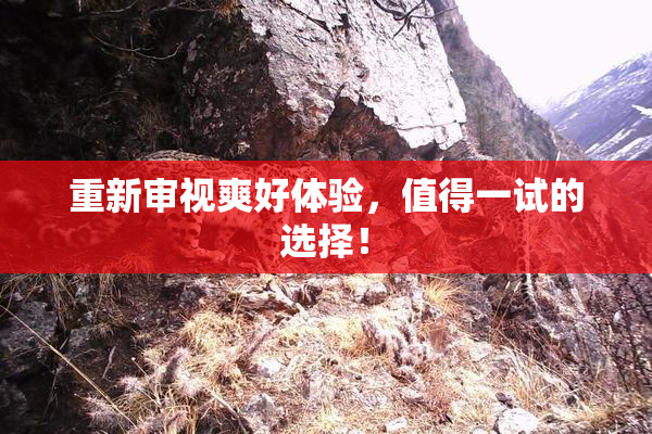 重新审视爽好体验，值得一试的选择！