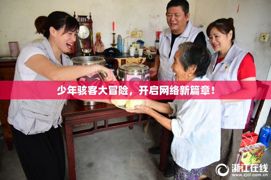少年骇客大冒险，开启网络新篇章！