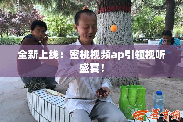 全新上线：蜜桃视频ap引领视听盛宴！