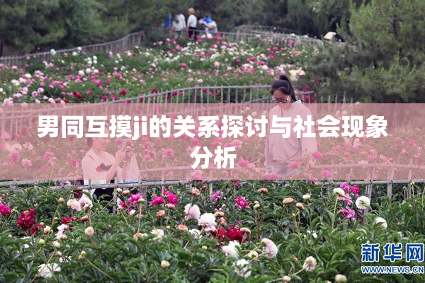 男同互摸ji的关系探讨与社会现象分析