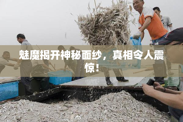 魅魔揭开神秘面纱，真相令人震惊！