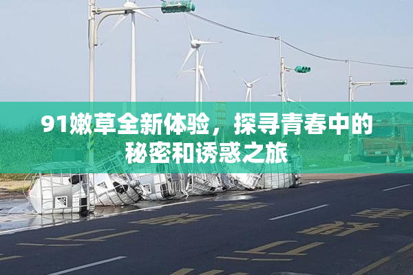 91嫩草全新体验，探寻青春中的秘密和诱惑之旅