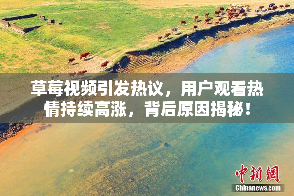 草莓视频引发热议，用户观看热情持续高涨，背后原因揭秘！