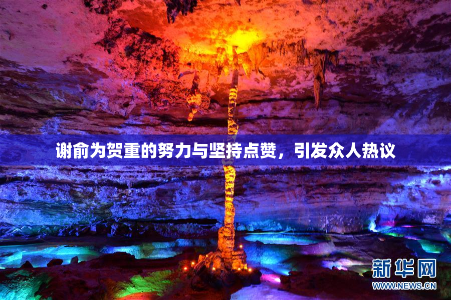 谢俞为贺重的努力与坚持点赞，引发众人热议