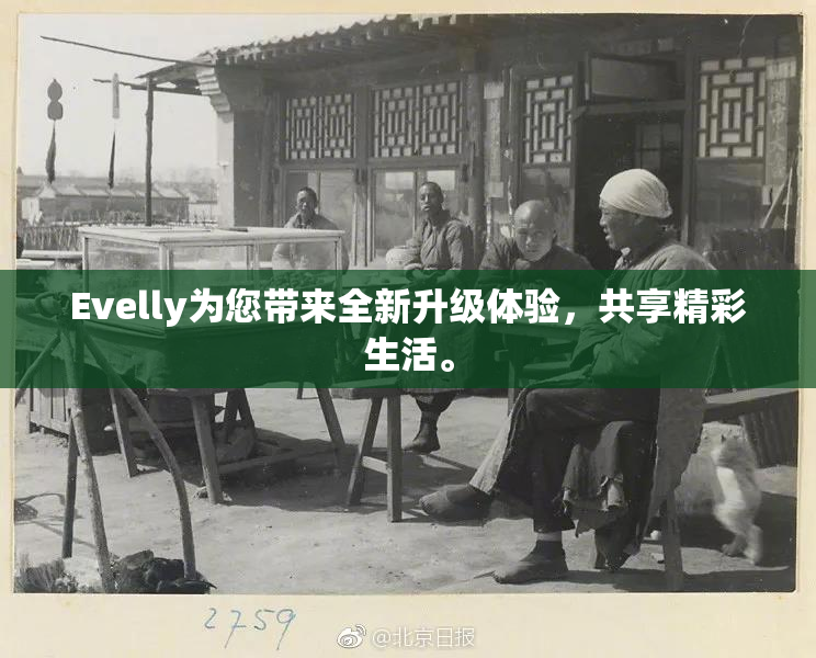 Evelly为您带来全新升级体验，共享精彩生活。