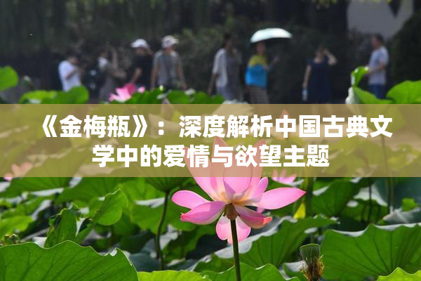 《金梅瓶》：深度解析中国古典文学中的爱情与欲望主题