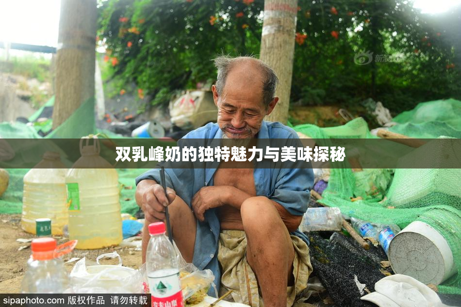 双乳峰奶的独特魅力与美味探秘