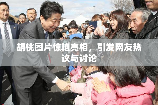 胡桃图片惊艳亮相，引发网友热议与讨论