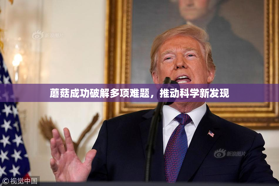 蘑菇成功破解多项难题，推动科学新发现