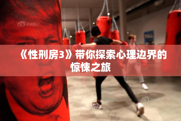 《性刑房3》带你探索心理边界的惊悚之旅