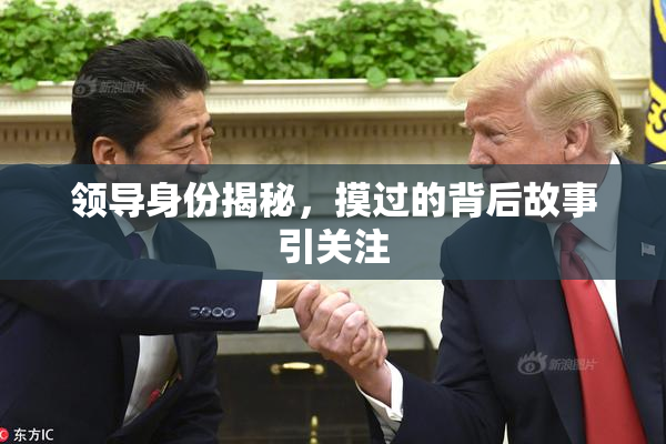 领导身份揭秘，摸过的背后故事引关注