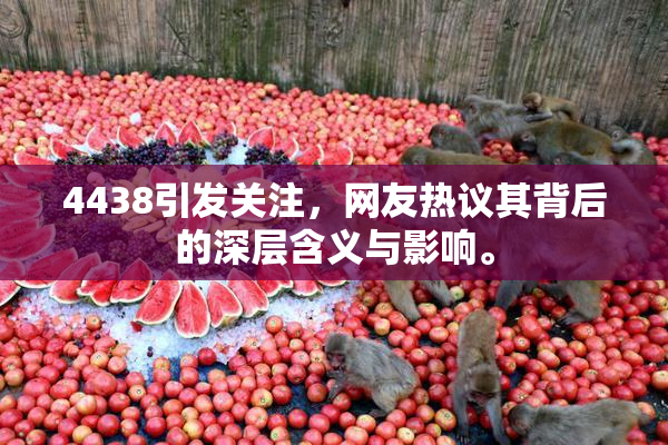 4438引发关注，网友热议其背后的深层含义与影响。