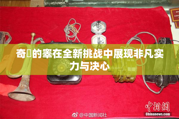 奇犽的睾在全新挑战中展现非凡实力与决心