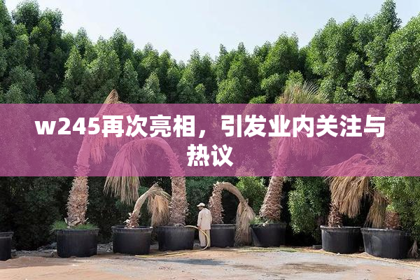 w245再次亮相，引发业内关注与热议