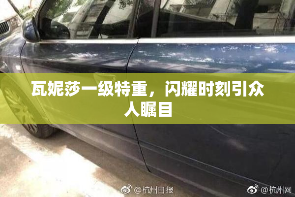 瓦妮莎一级特重，闪耀时刻引众人瞩目