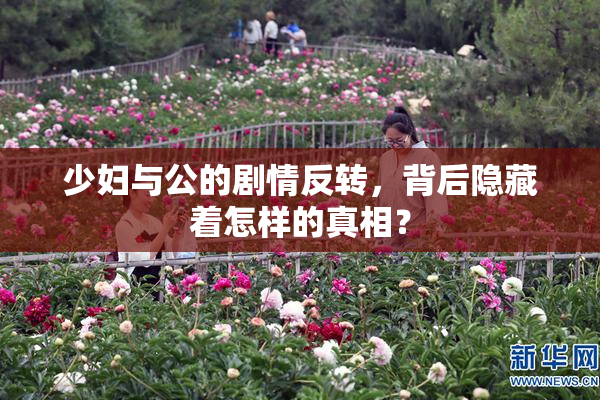 少妇与公的剧情反转，背后隐藏着怎样的真相？