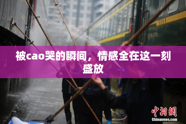 被cao哭的瞬间，情感全在这一刻盛放