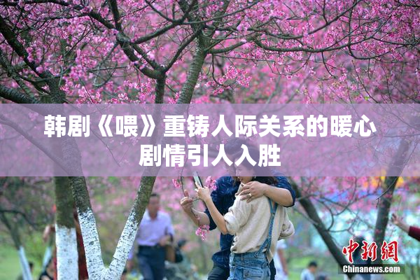 韩剧《喂》重铸人际关系的暖心剧情引人入胜