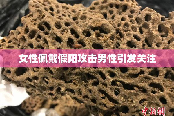 女性佩戴假阳攻击男性引发关注
