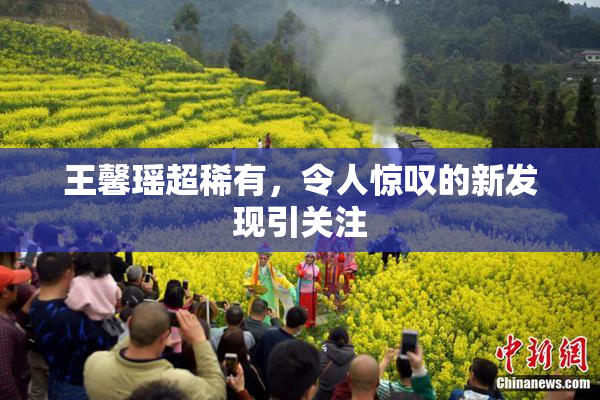 王馨瑶超稀有，令人惊叹的新发现引关注