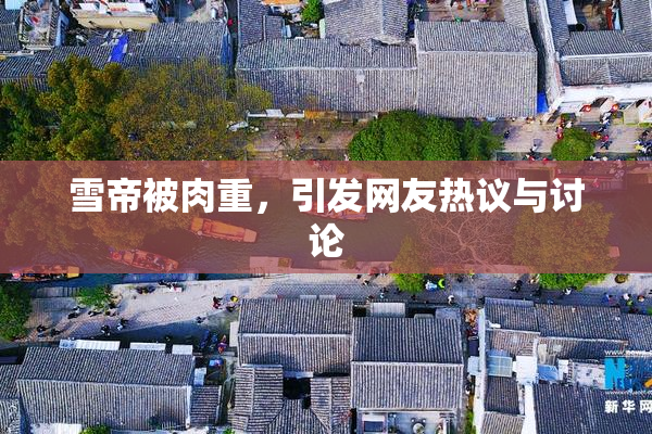 雪帝被肉重，引发网友热议与讨论