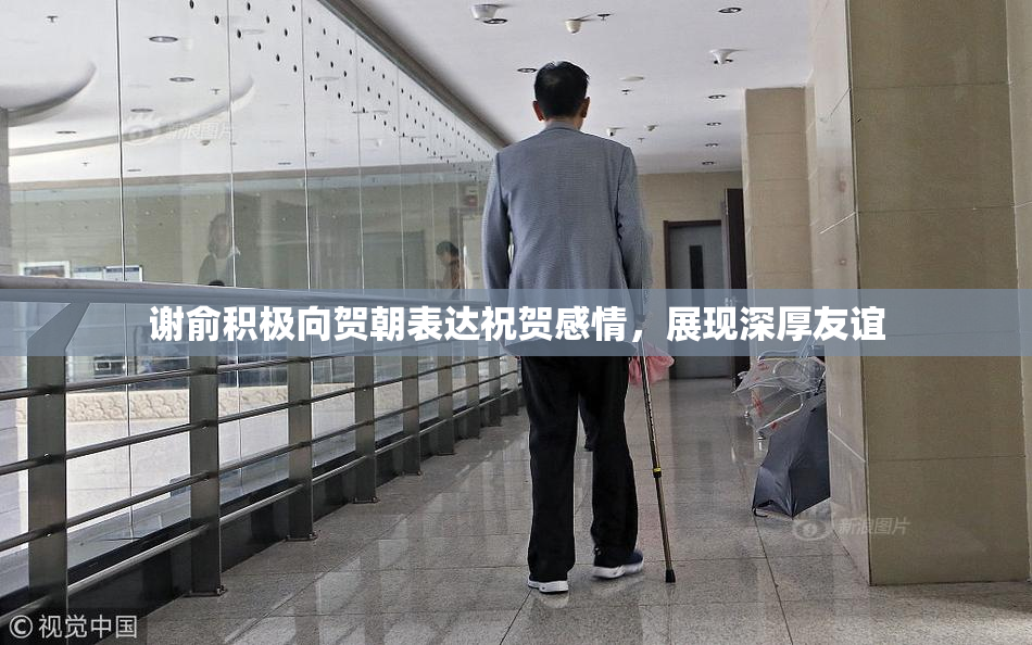 谢俞积极向贺朝表达祝贺感情，展现深厚友谊