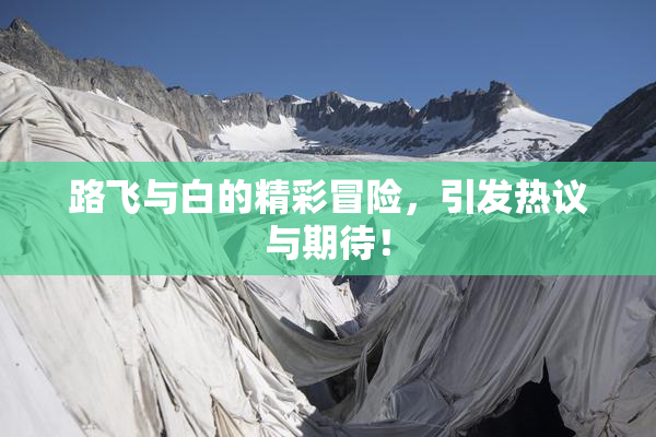 路飞与白的精彩冒险，引发热议与期待！