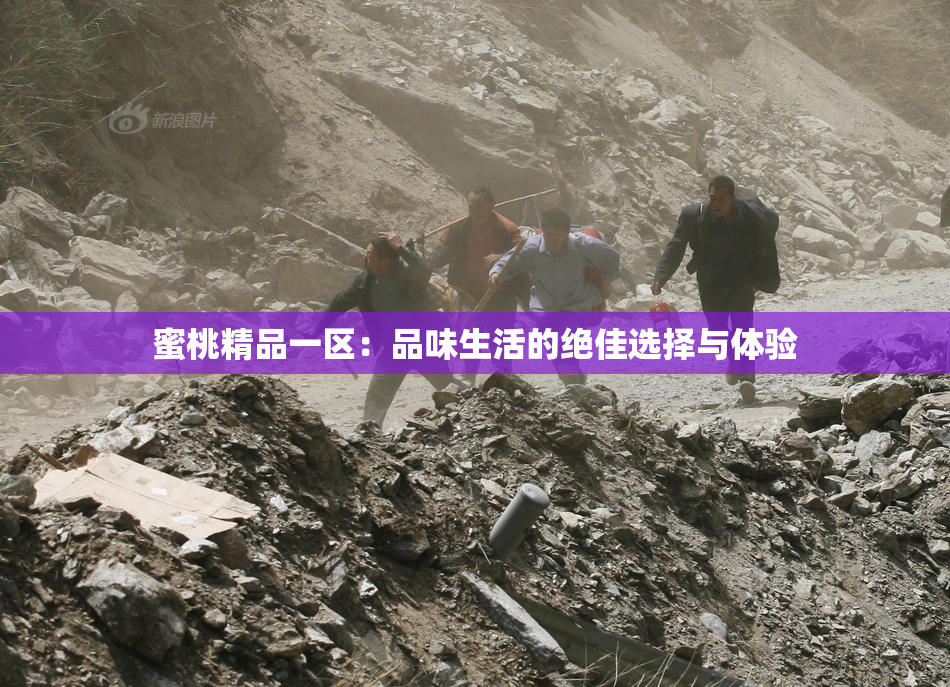 蜜桃精品一区：品味生活的绝佳选择与体验