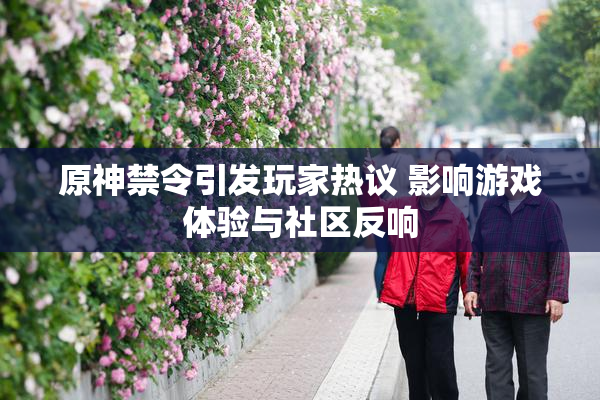 原神禁令引发玩家热议 影响游戏体验与社区反响