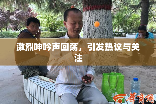 激烈呻吟声回荡，引发热议与关注