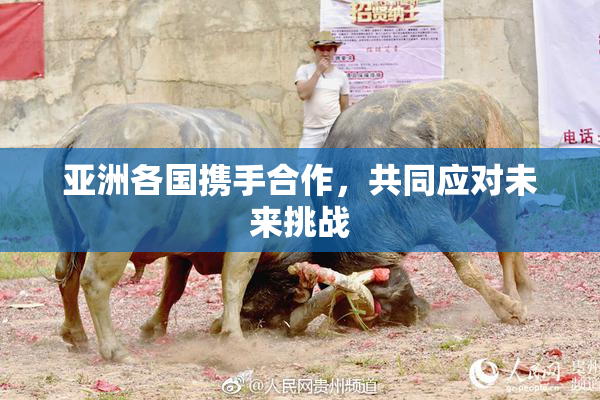 亚洲各国携手合作，共同应对未来挑战