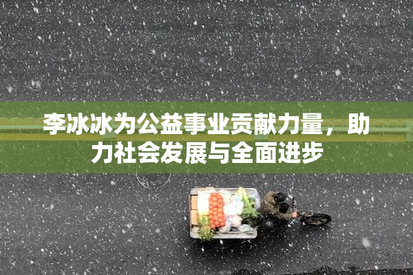 李冰冰为公益事业贡献力量，助力社会发展与全面进步