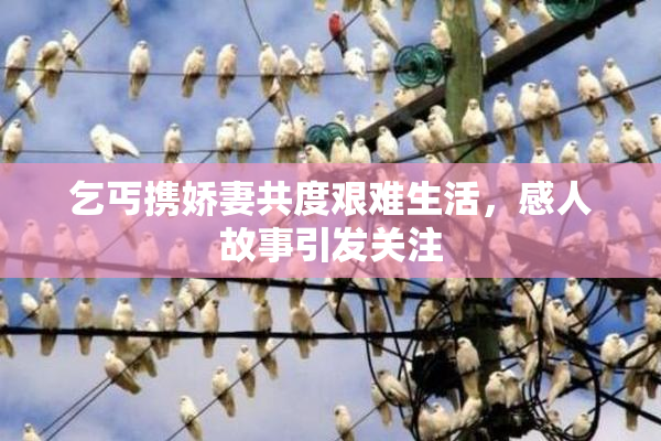 乞丐携娇妻共度艰难生活，感人故事引发关注