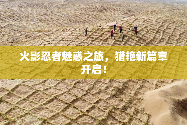 火影忍者魅惑之旅，猎艳新篇章开启！