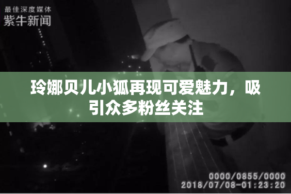 玲娜贝儿小狐再现可爱魅力，吸引众多粉丝关注