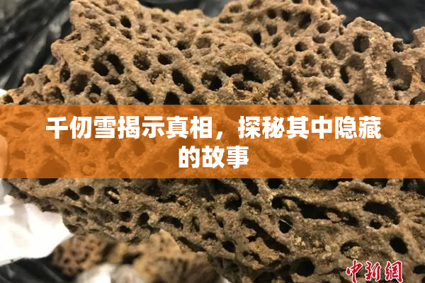 千仞雪揭示真相，探秘其中隐藏的故事