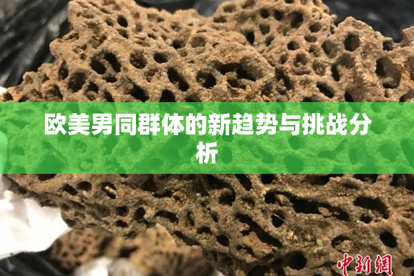 欧美男同群体的新趋势与挑战分析