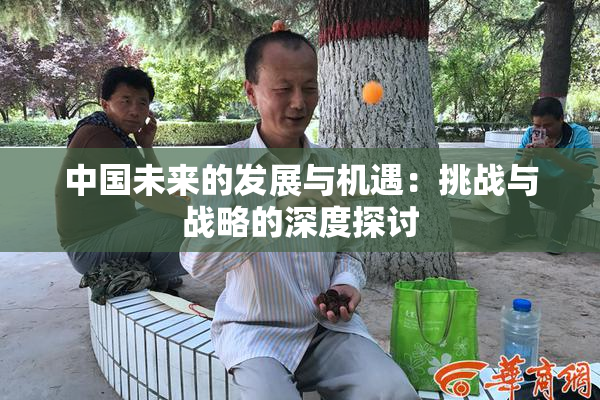 中国未来的发展与机遇：挑战与战略的深度探讨