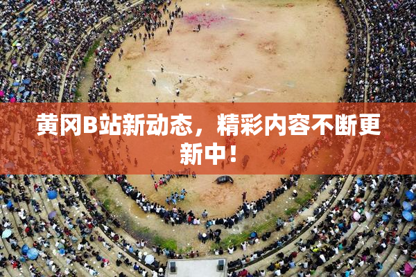 黄冈B站新动态，精彩内容不断更新中！