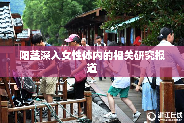 阳茎深入女性体内的相关研究报道