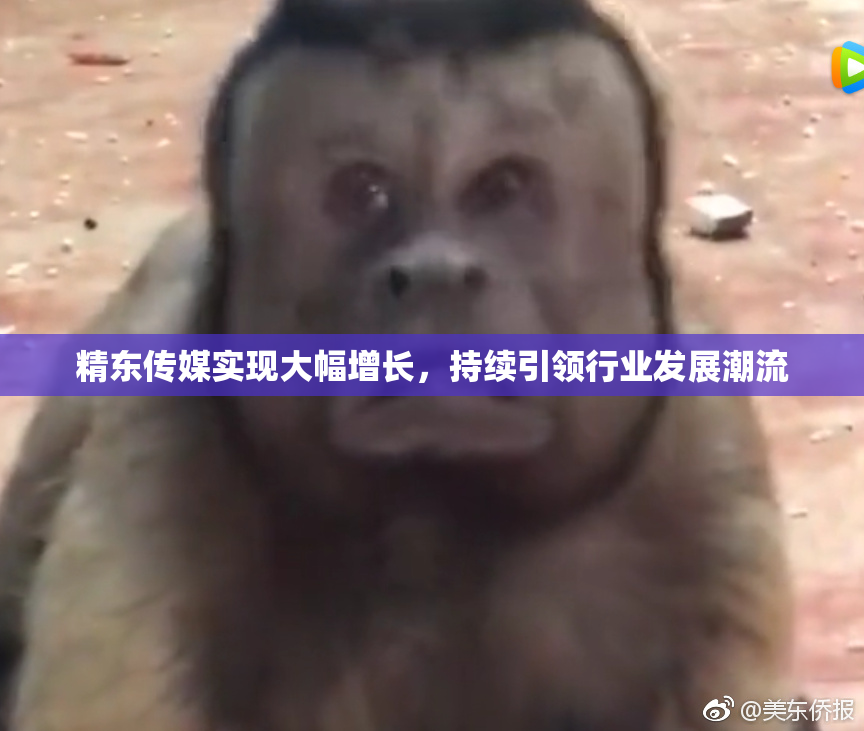 精东传媒实现大幅增长，持续引领行业发展潮流
