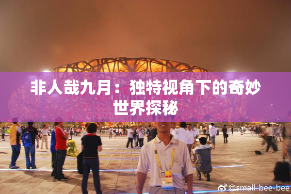非人哉九月：独特视角下的奇妙世界探秘
