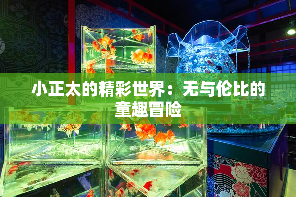 小正太的精彩世界：无与伦比的童趣冒险