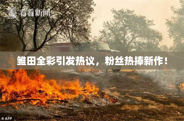 雏田全彩引发热议，粉丝热捧新作！