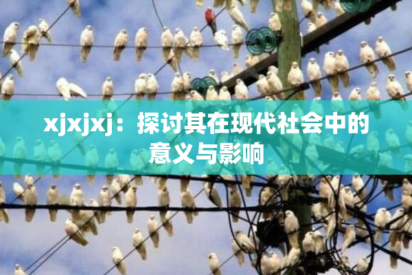 xjxjxj：探讨其在现代社会中的意义与影响