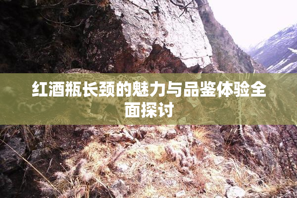 红酒瓶长颈的魅力与品鉴体验全面探讨